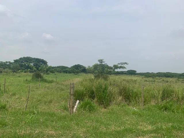 Lote en  Arriendo en Cerritos, Pereira