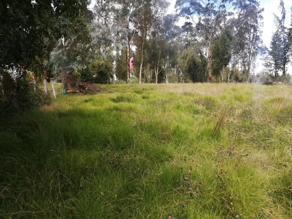 Local en Arriendo en Samaria, Chía