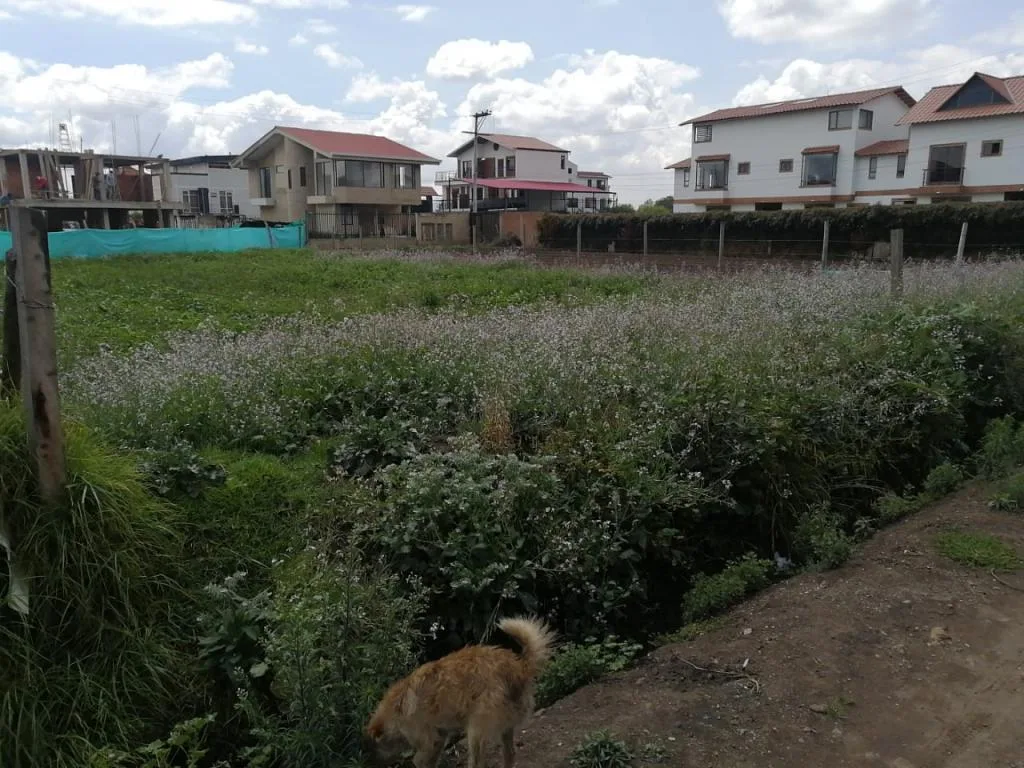Lote en  Arriendo en Cota