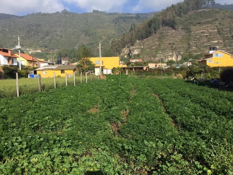 Lote en  Arriendo en Cota