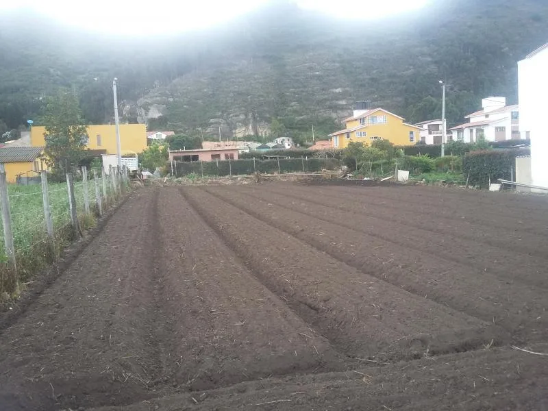 Lote en  Arriendo en Cota