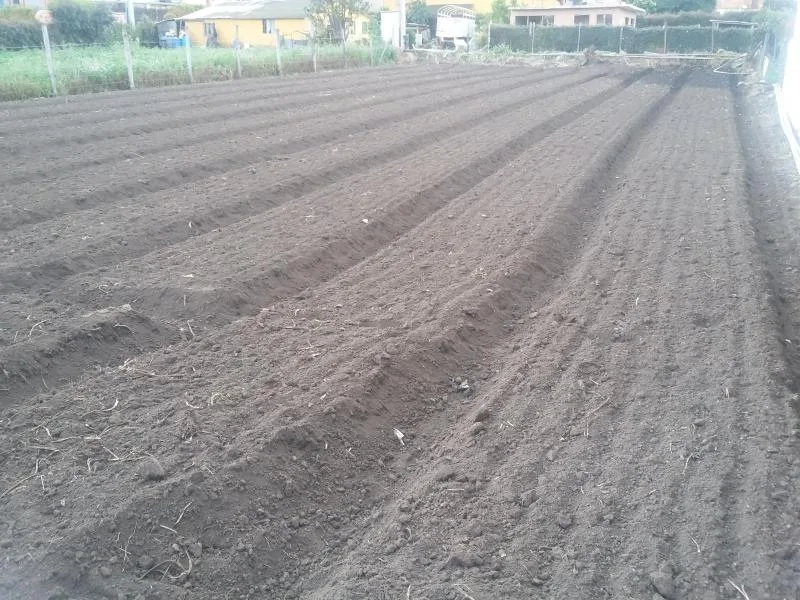 Lote en  Arriendo en Cota