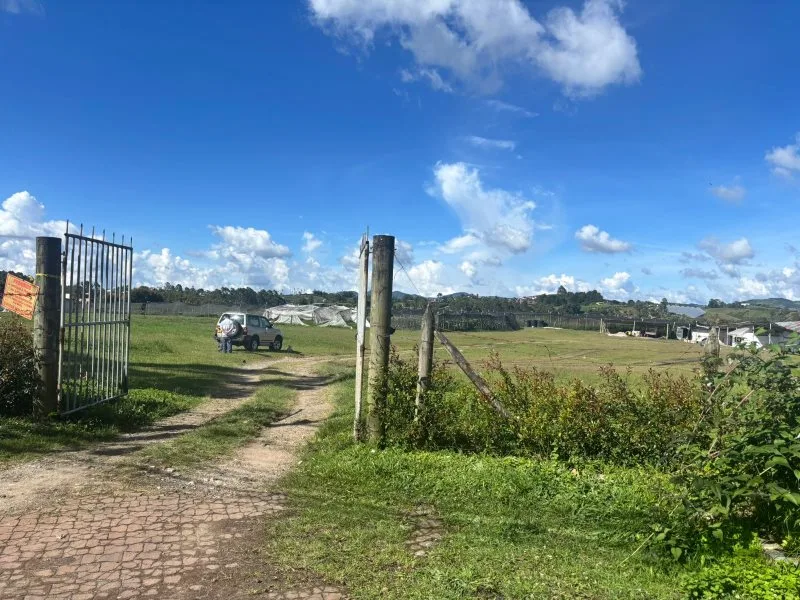 Lote en Arriendo en El carmen de viboral