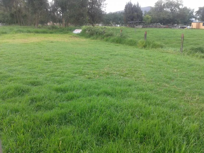 Apartamento en Arriendo en La española, Madrid