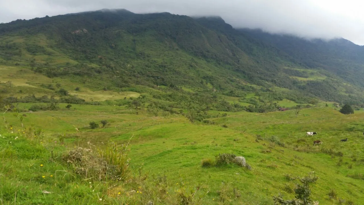 Lote en  Arriendo en La toma, La calera