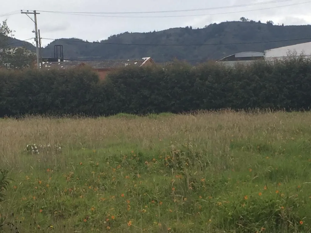 Casa en Arriendo en Las piramides, Fusagasugá