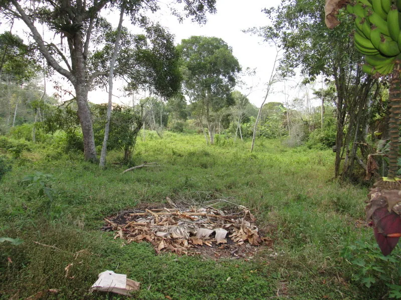 Lote en  Arriendo en Piedecuesta