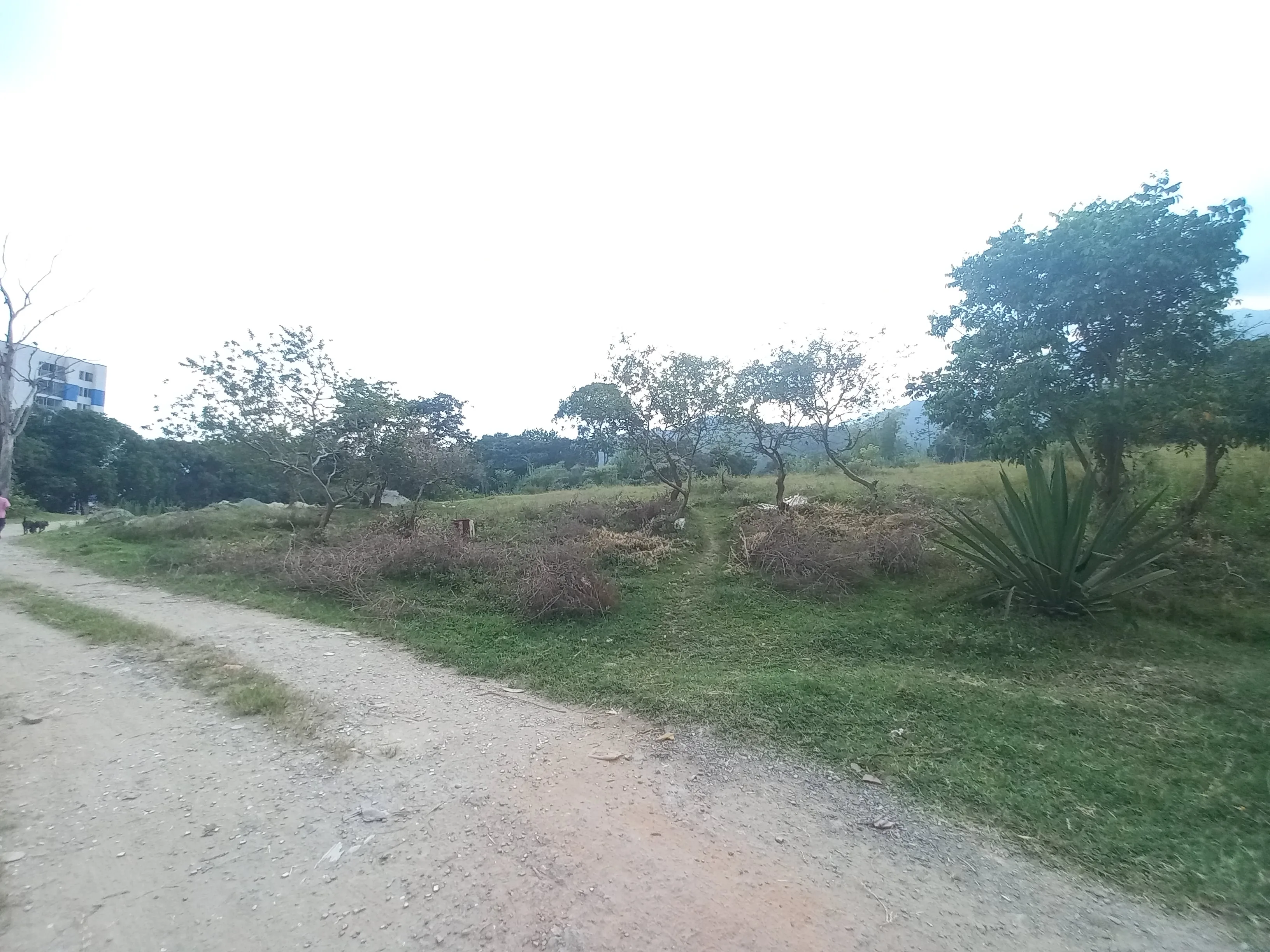 Lot en Arriendo