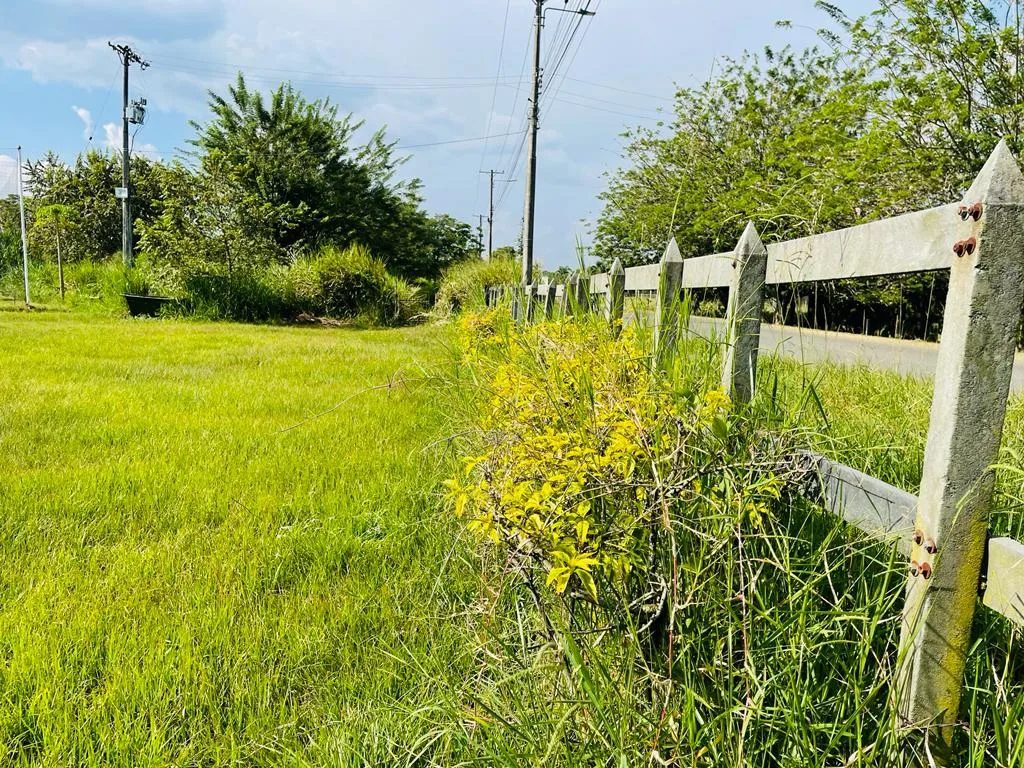 Lote en arriendo en Jamundí