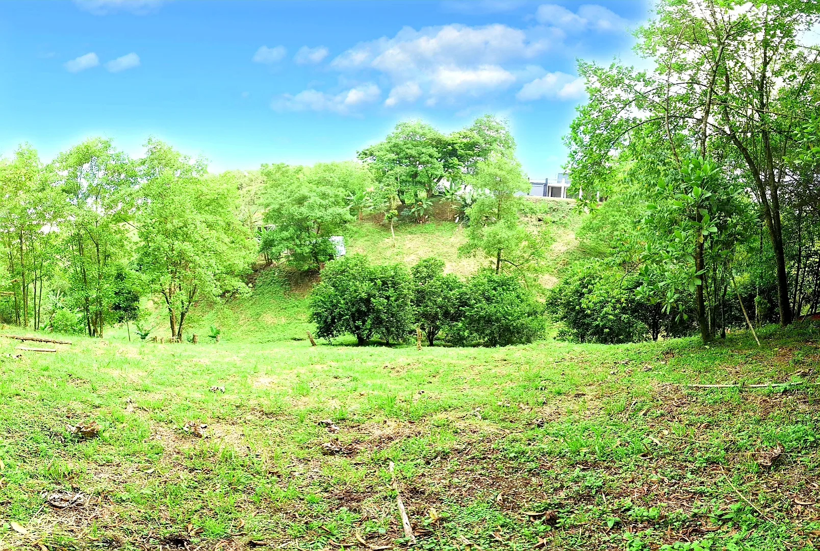 Lote en arriendo en Sector plaza de bolivar, Pereira