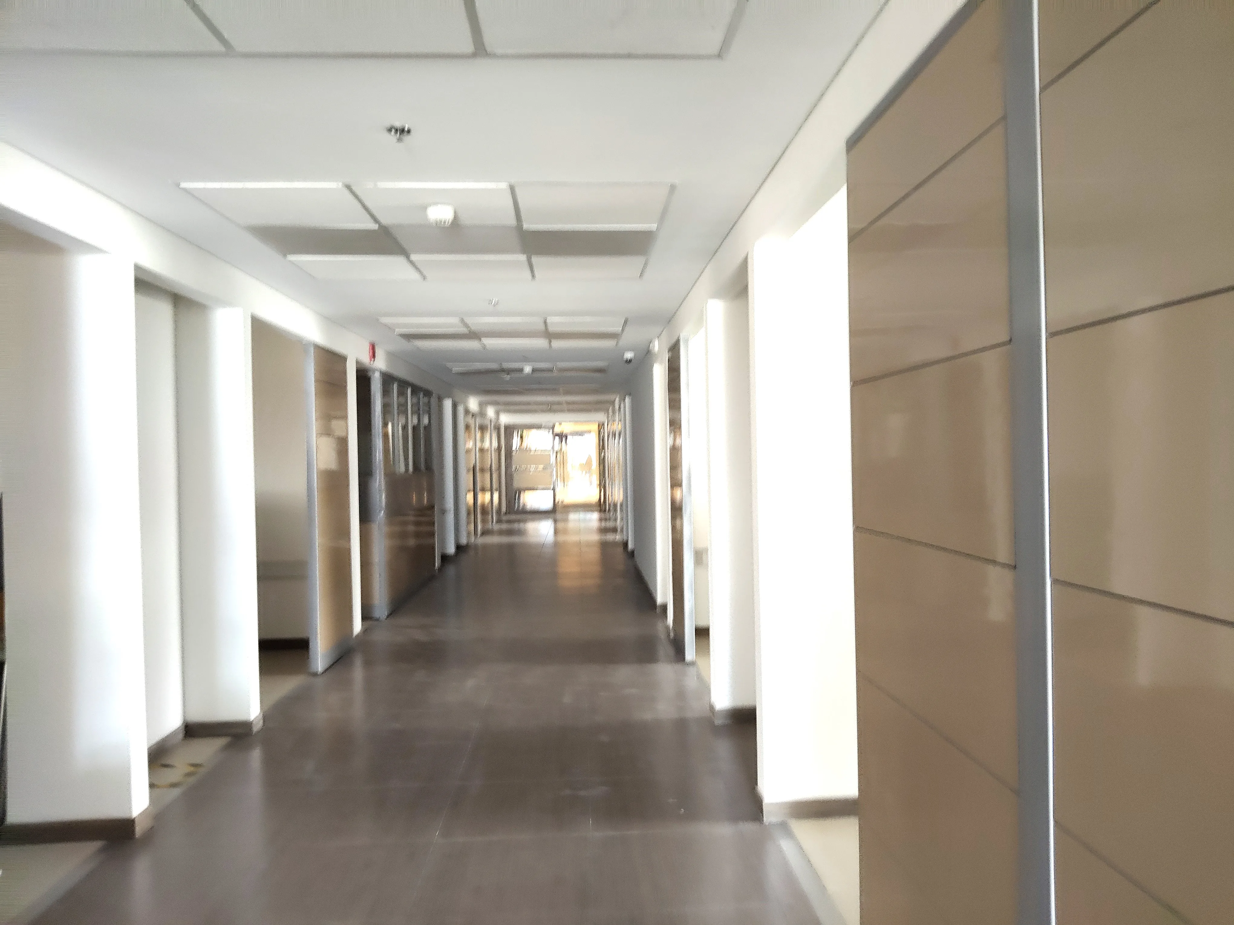 Oficina en Arriendo en Morato, Bogotá