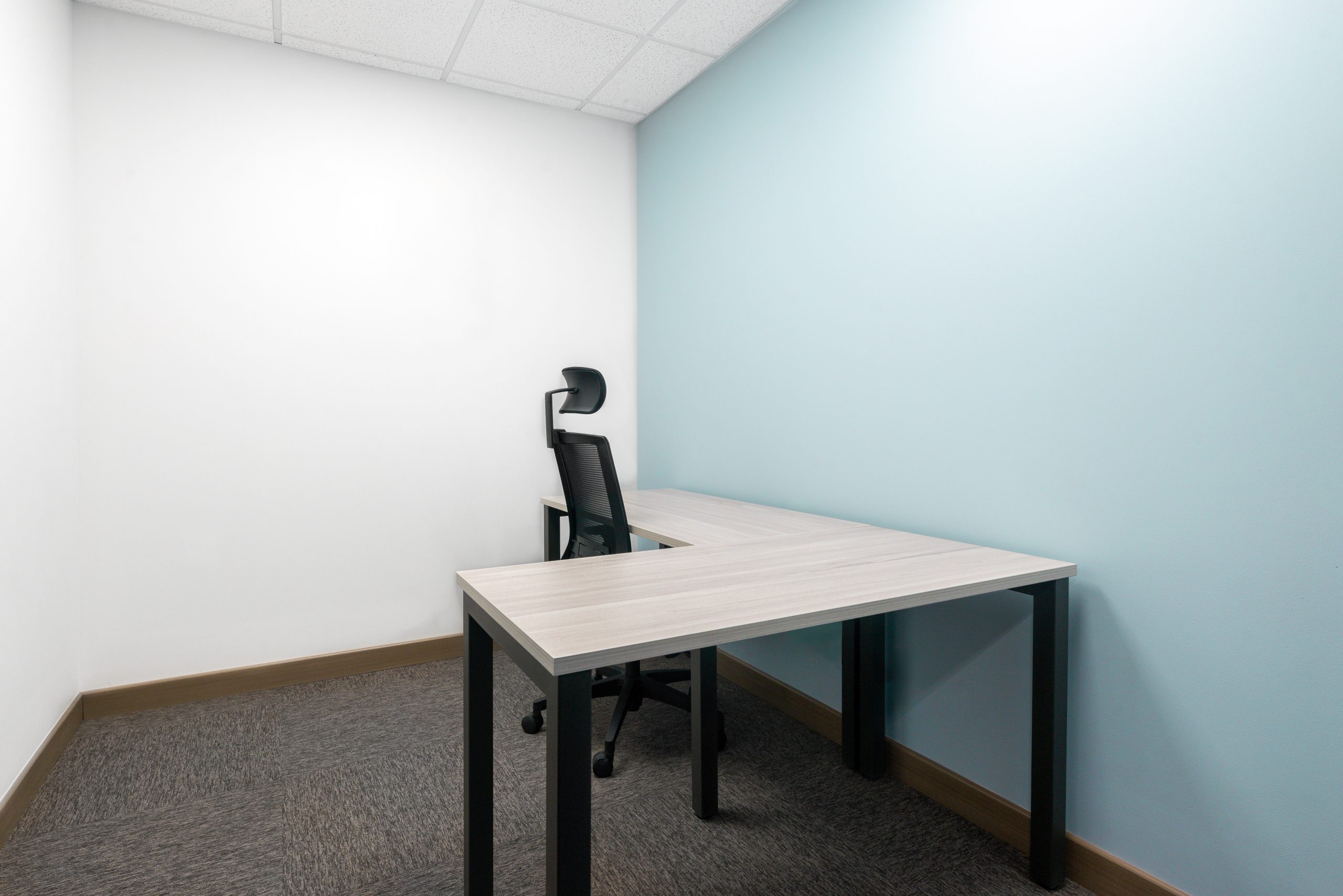 Espacio de oficina en renta para 2 personas en Barranquilla, Blue Garden