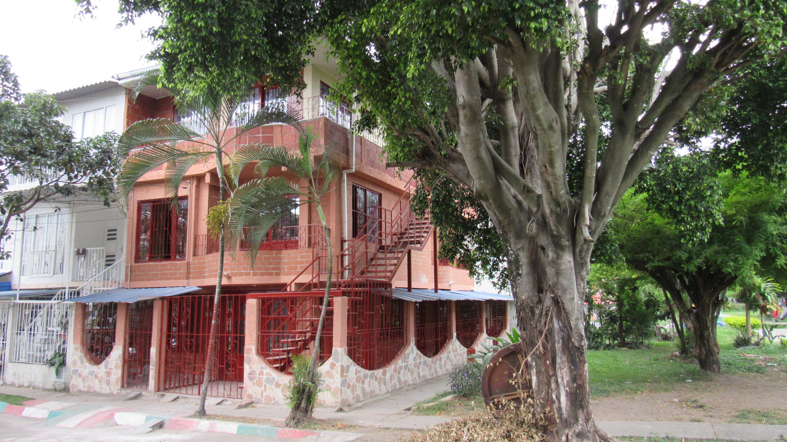 APARTAMENTO P2 - EN ALQUILER - TULIPANES DE LA ITALIA REF: 9893445