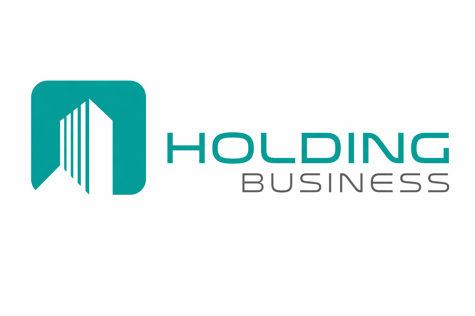HOLDING BUSINESS