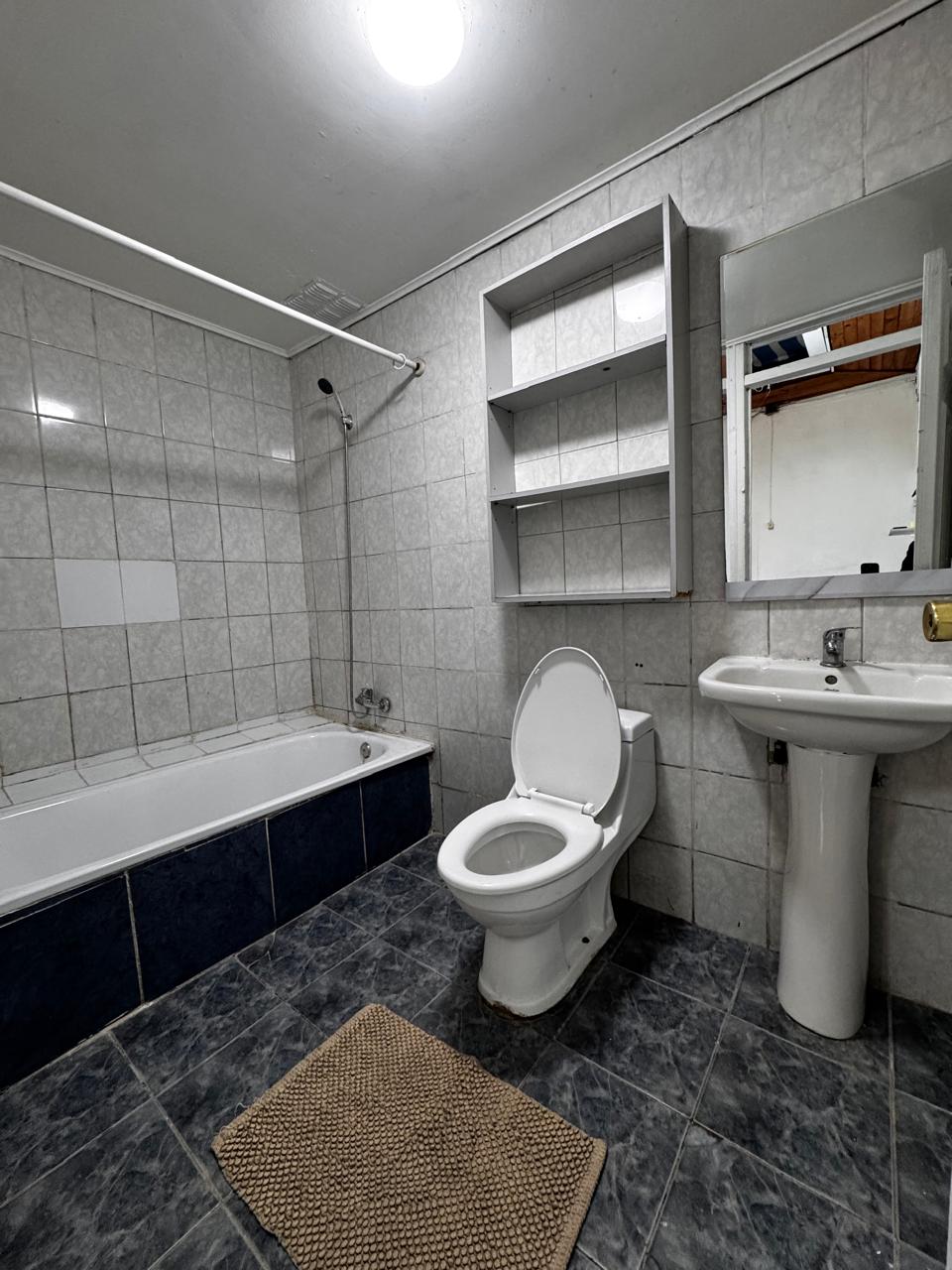 Arriendo casa en Santiago