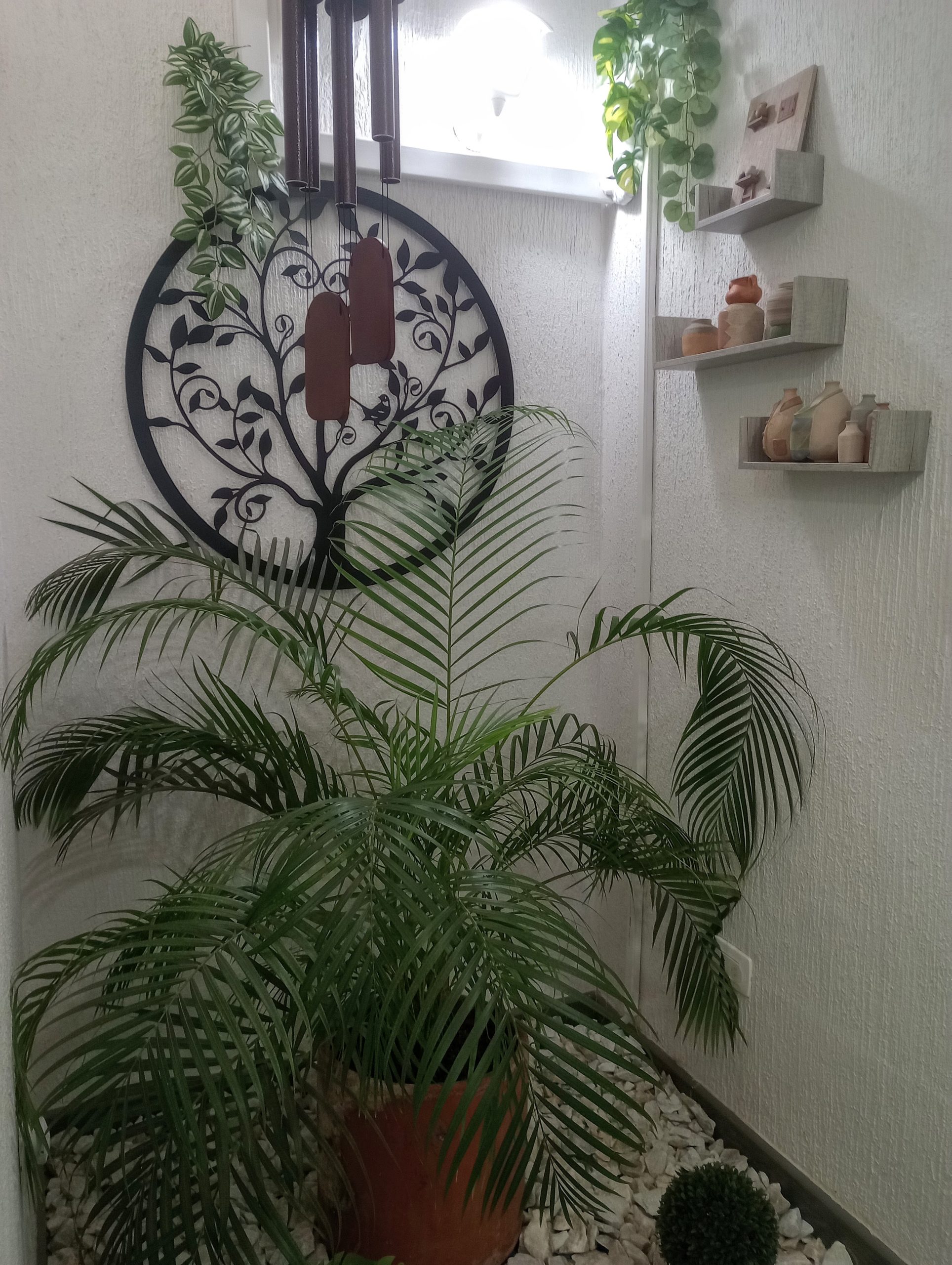 Hermosa, remodelada, casa al sur, El Templete, cerca a todo, para vivienda, consultorios u oficinas.