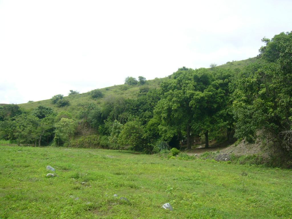Lot en Arriendo