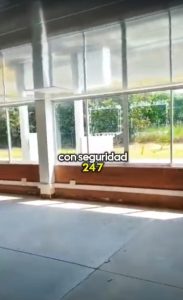 17874720260730071322.jpeg