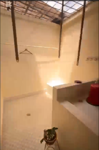 197506220260731103638.png