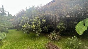 253061420260219024627.jpeg