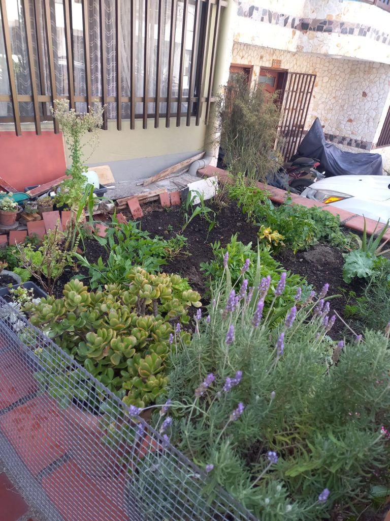 Casa en Venta para Comercio o Vivienda Sector la Alameda, Rionegro
