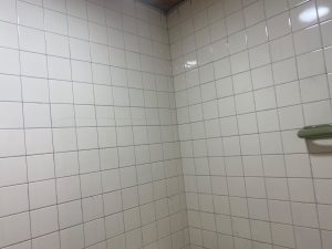 8393620260730085907.jpeg
