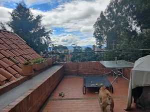 apartamento_venta_205m2_bosque_1751491986-6001_4602.jpeg