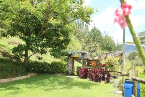 arriendo_casa_finca_san_cristb_1784755783-4548_2810.jpeg