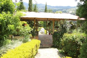 arriendo_casa_finca_san_cristb_1784755842-5211_2139.jpeg