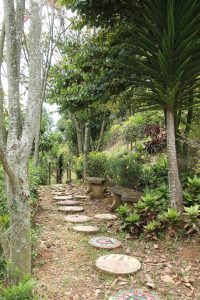 arriendo_casa_finca_san_cristb_1784755847-7146_5917.jpeg