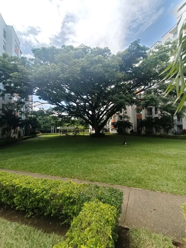 Se alquila apartamento en Jamundí – Residencial Los Naranjos.German G