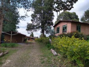 106680220260829100143.jpeg
