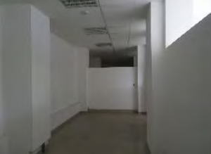 131728420231012103225.png