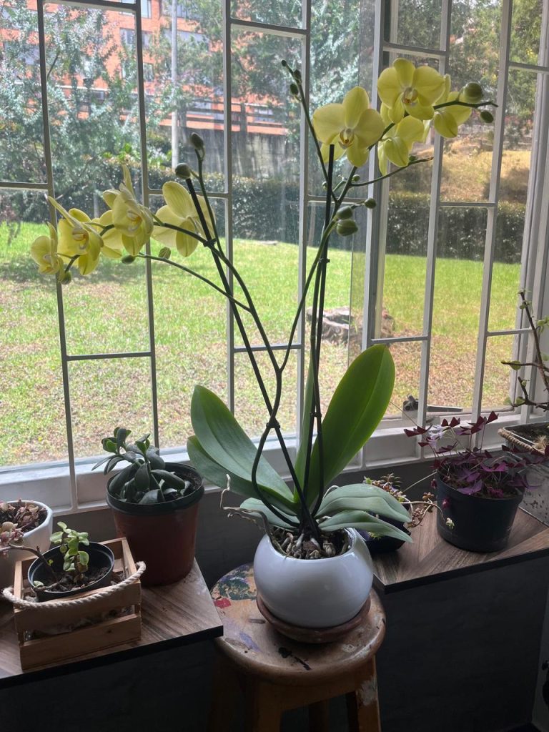 ARRIENDO APARTAMENTO UNA ALCOBA AMOBLADO -CABRERA, BOGOTÁ, D.C.