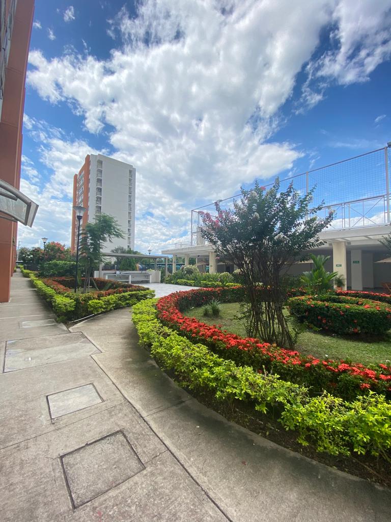 Apartamento en Arriendo
