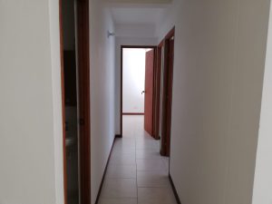79331120240102052349.jpeg