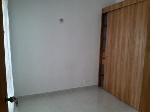 7933620241129035639.jpeg