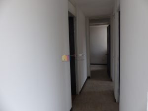 81613220240227070406.jpg