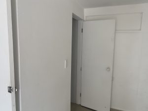 8393520260822084432.jpg