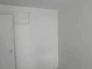8393620260822084434.jpg