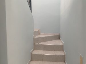 8393920260805083545.jpg
