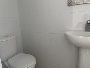 8393920260822084443.jpg
