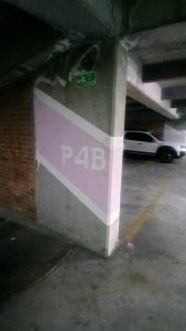 alquilo_apto_urbanizacin_rincn_1755705686-8686_8418.jpeg