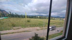 cajica_senderos_de_girasoles_7_1785797804-8695_4316.jpeg