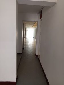 117541520260309124922.jpg