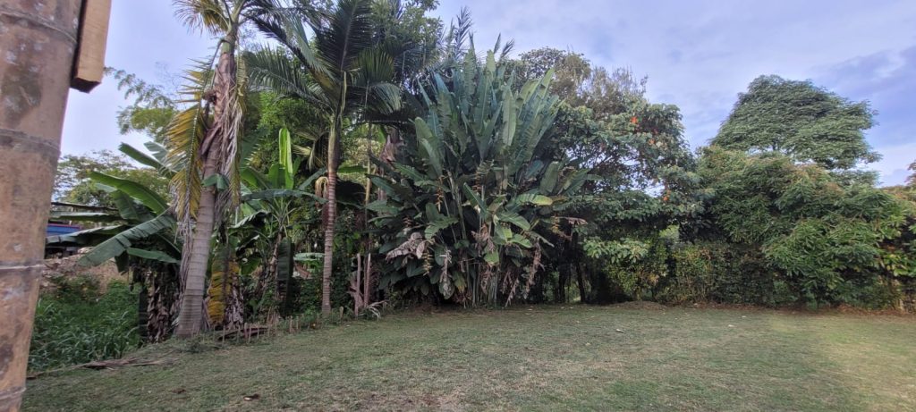 Lot en Arriendo