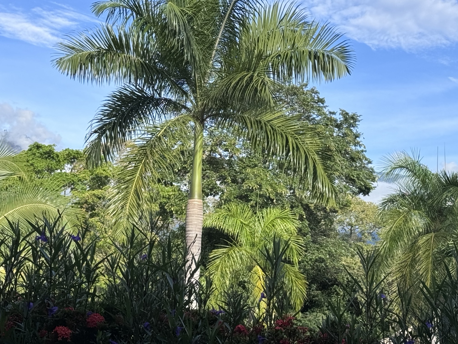 Arriendo por meses casa Campestre amoblada Sopetran