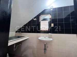6abaeea6ea368.jpg
