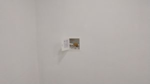 83931320260914110612.jpg