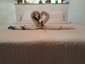 arriendo_cabaas_el_roble_villa_1779120366-1585_6297.jpeg